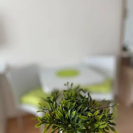 студиа Sunny Holiday Fort Noks Apartamento